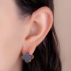 Aretes Dualia