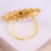 Anillo Solaris