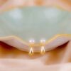 Aretes Gota Perla