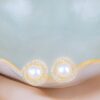 Aretes Roseline