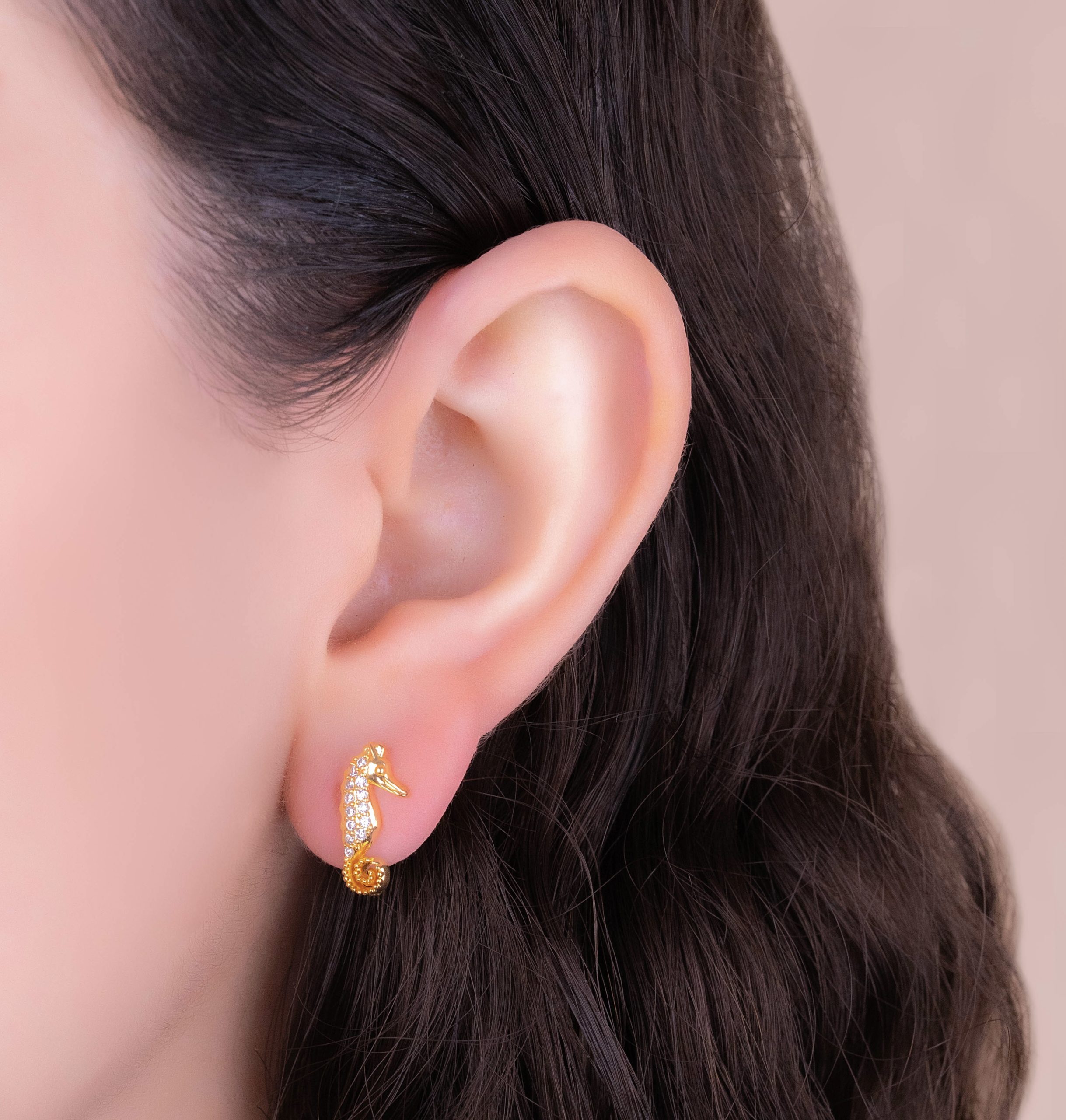 Topitos caballito de mar