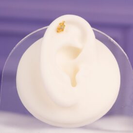 Piercing Iguana Dorado Piercing Iguana Dorado