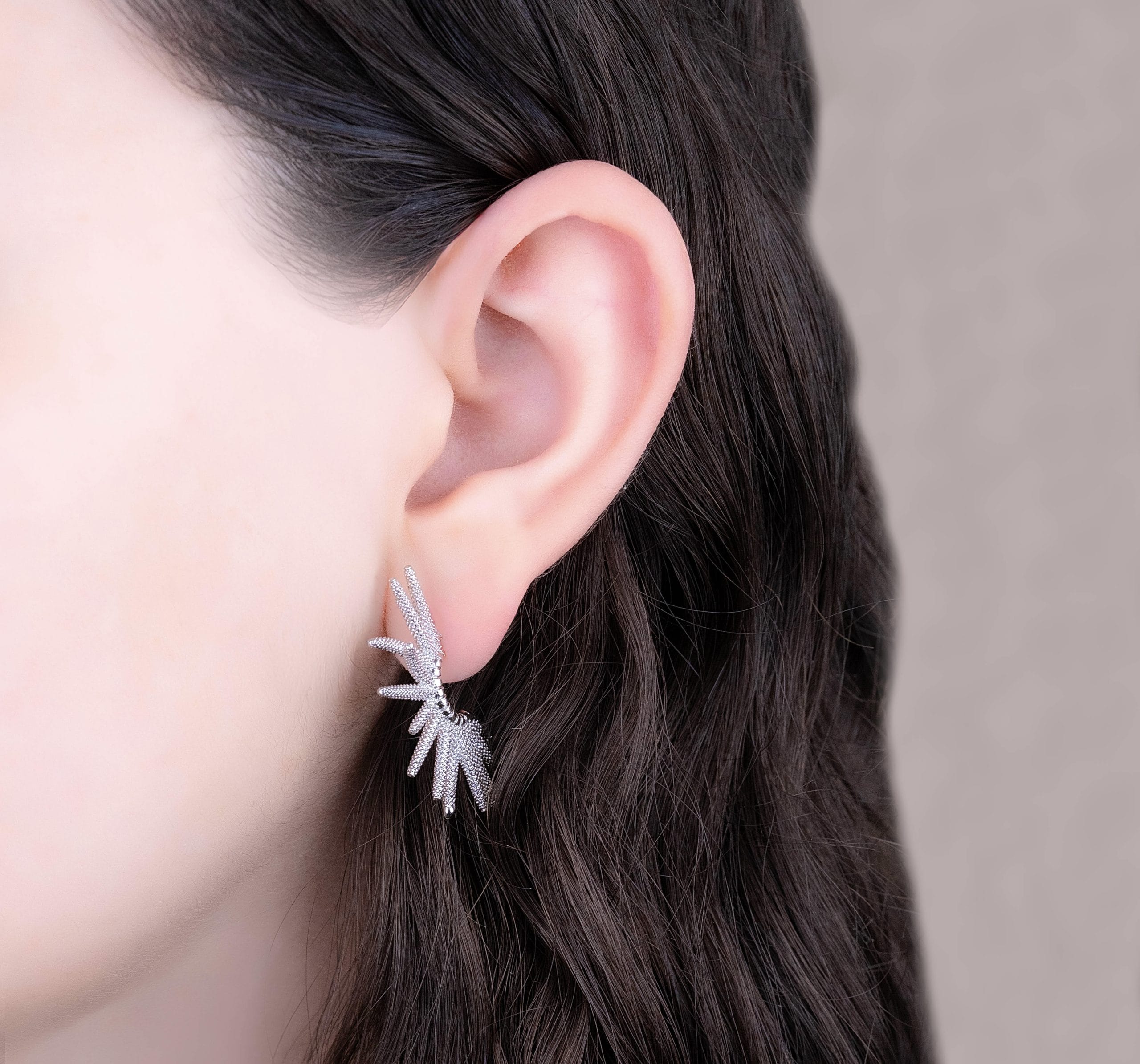 Aretes Esplendor Plateados