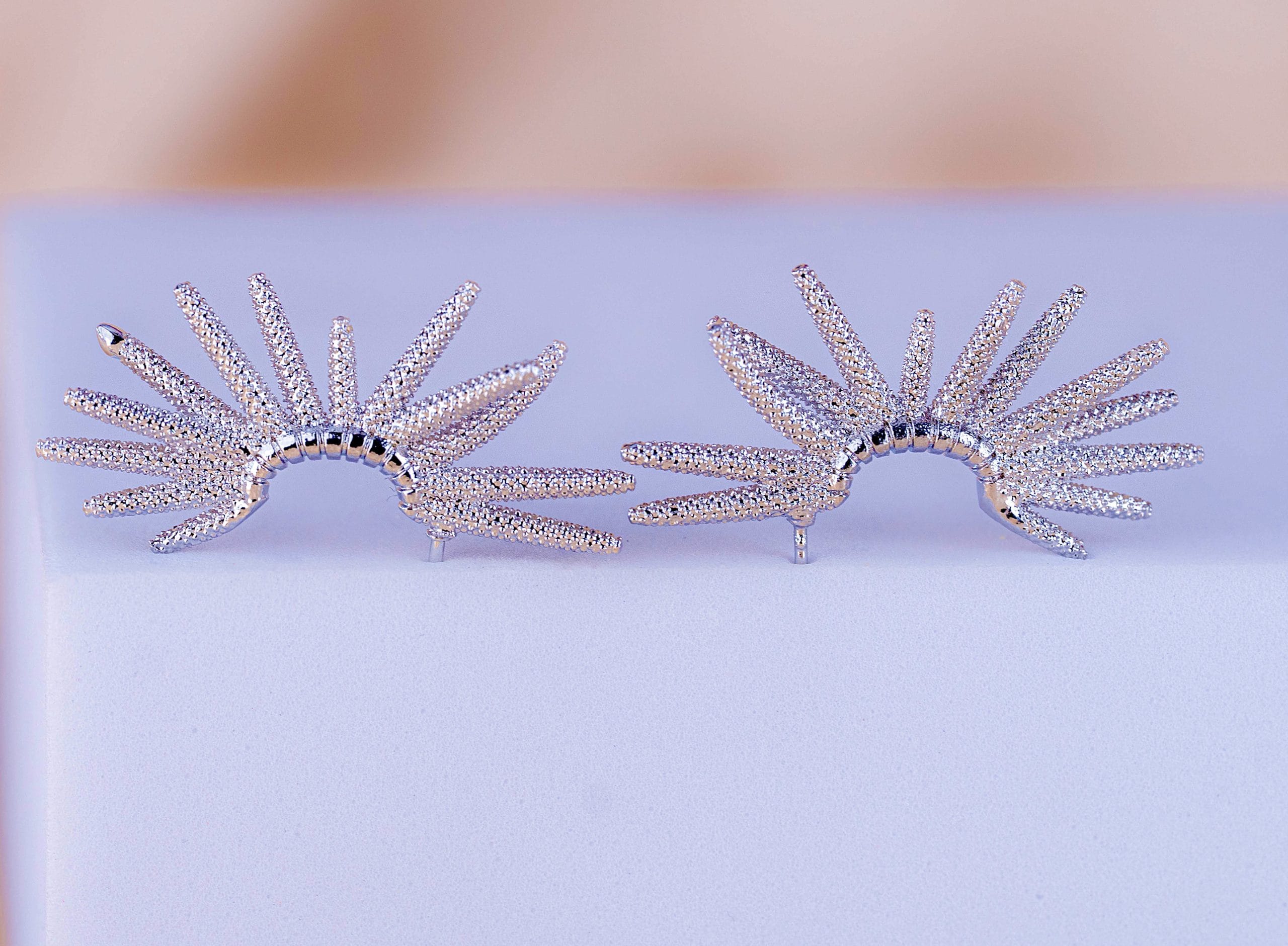 Aretes Esplendor Plateados