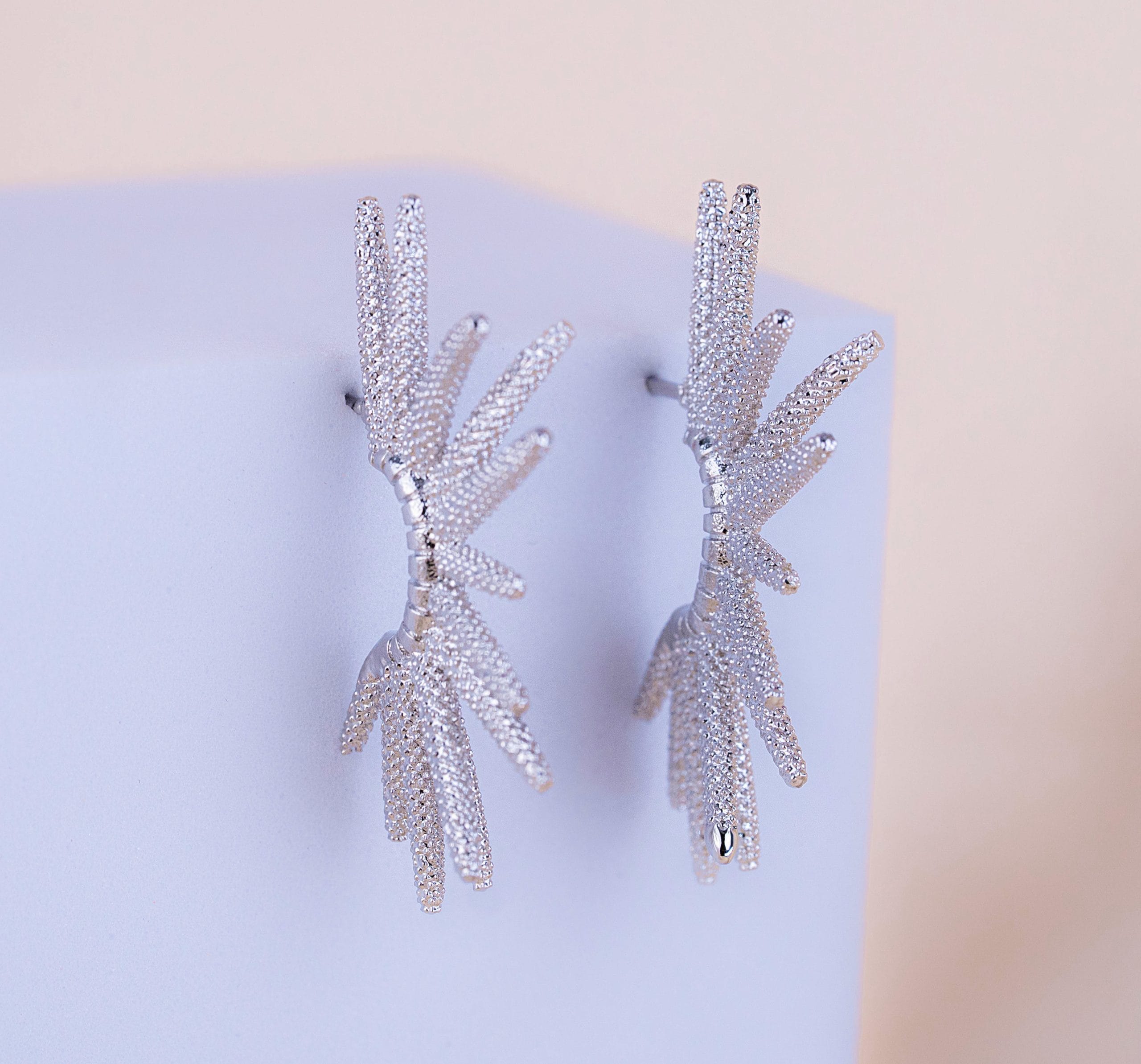 Aretes Esplendor Plateados
