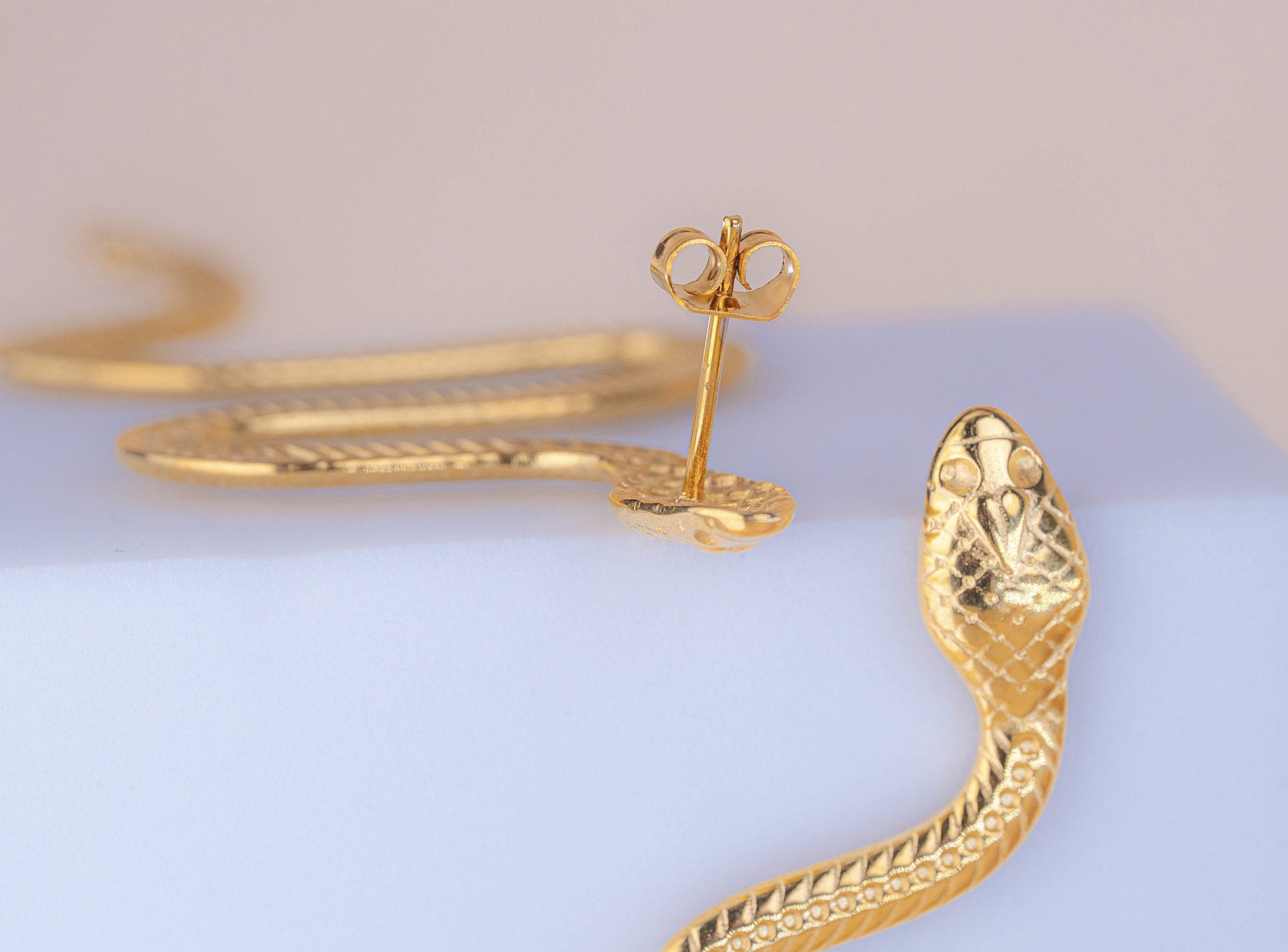 Aretes Maxi Serpientes